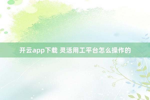 开云app下载 灵活用工平台怎么操作的