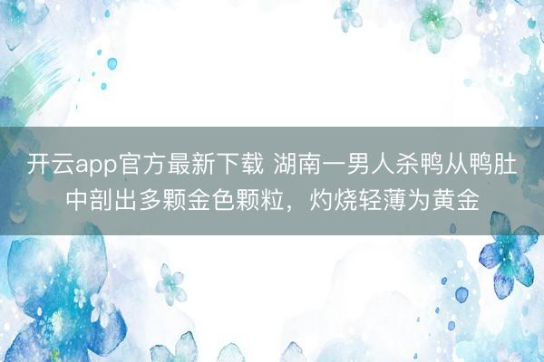 开云app官方最新下载 湖南一男人杀鸭从鸭肚中剖出多颗金色颗粒，灼烧轻薄为黄金